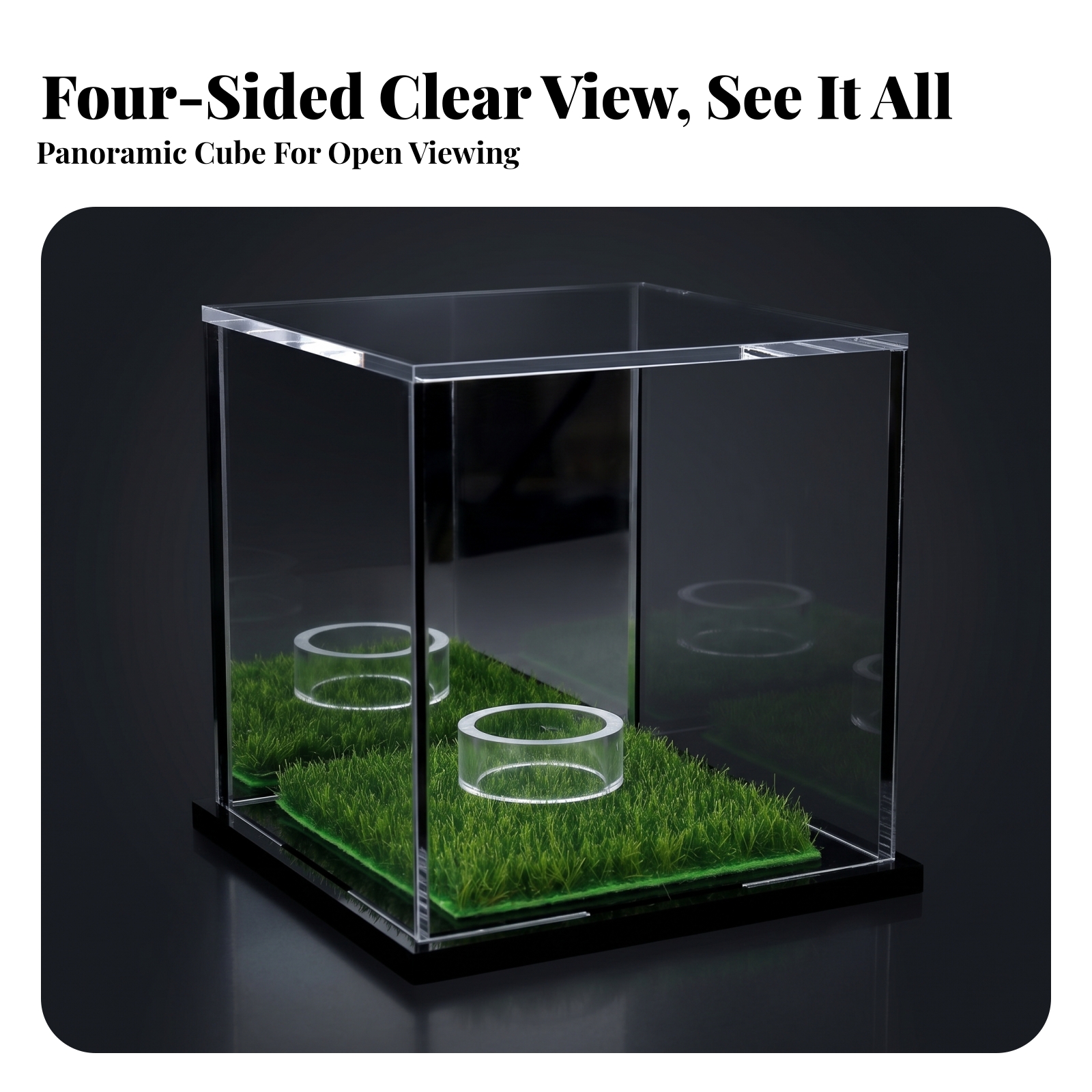 Acrylic Display Case Easy to C – Display Case Acrylic recenzja i cena