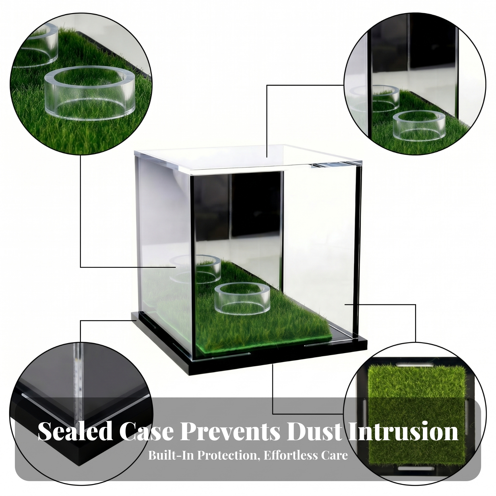Acrylic Display Case Easy to C – Display Case Acrylic recenzja i cena