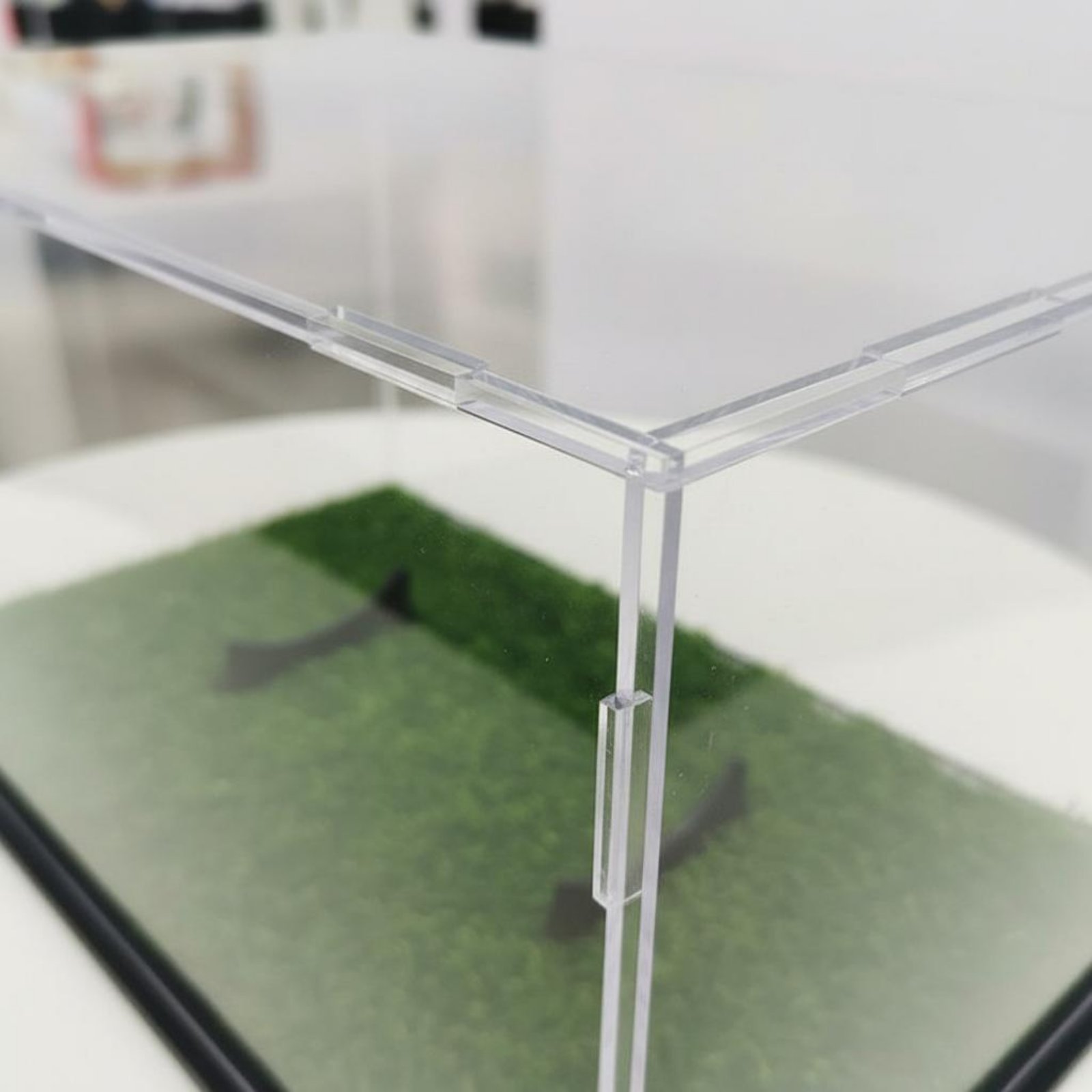 Acrylic Prolate Spheroid Box D – Display Case Acrylic recenzja i cena