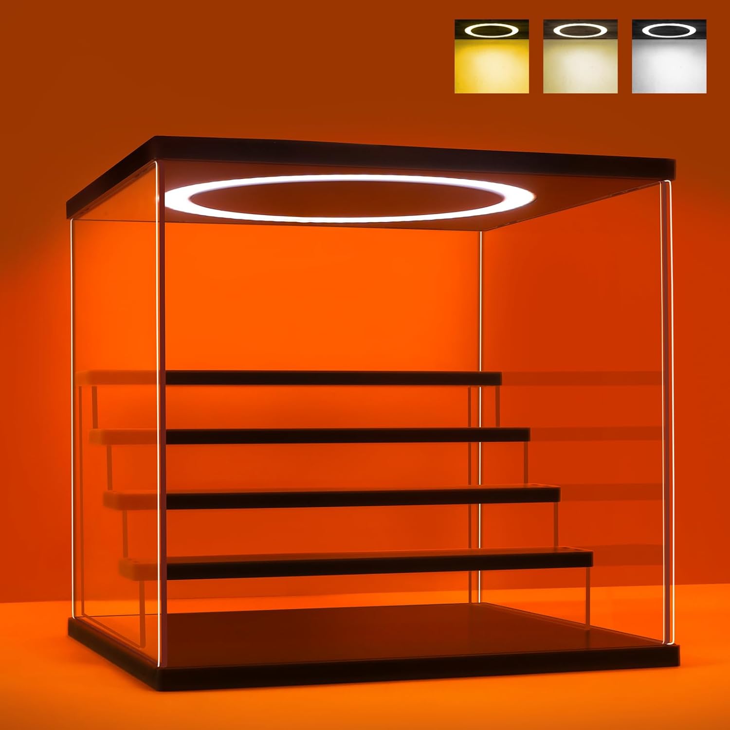 Acrylic Display Case with Adju – Display Case Acrylic recenzja i cena
